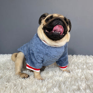 Keep Your Furry Friend Cozy with Our Stylish Pet Sweater