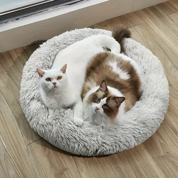 Comfortable Beds for Restful Sleep