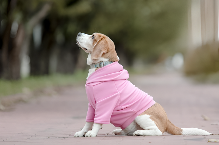 Stylish and Functional Pet Clothing
