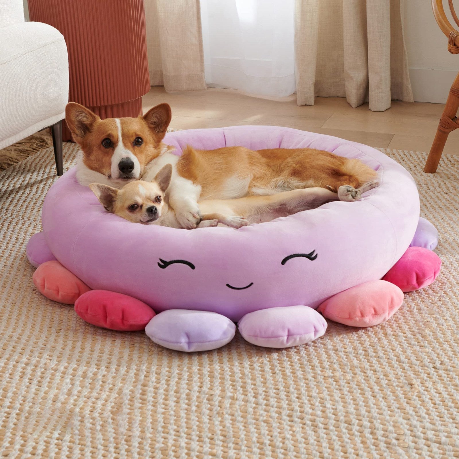 Discover the Comfort of the Animals And Fruits Super Soft Plush Pet Bed