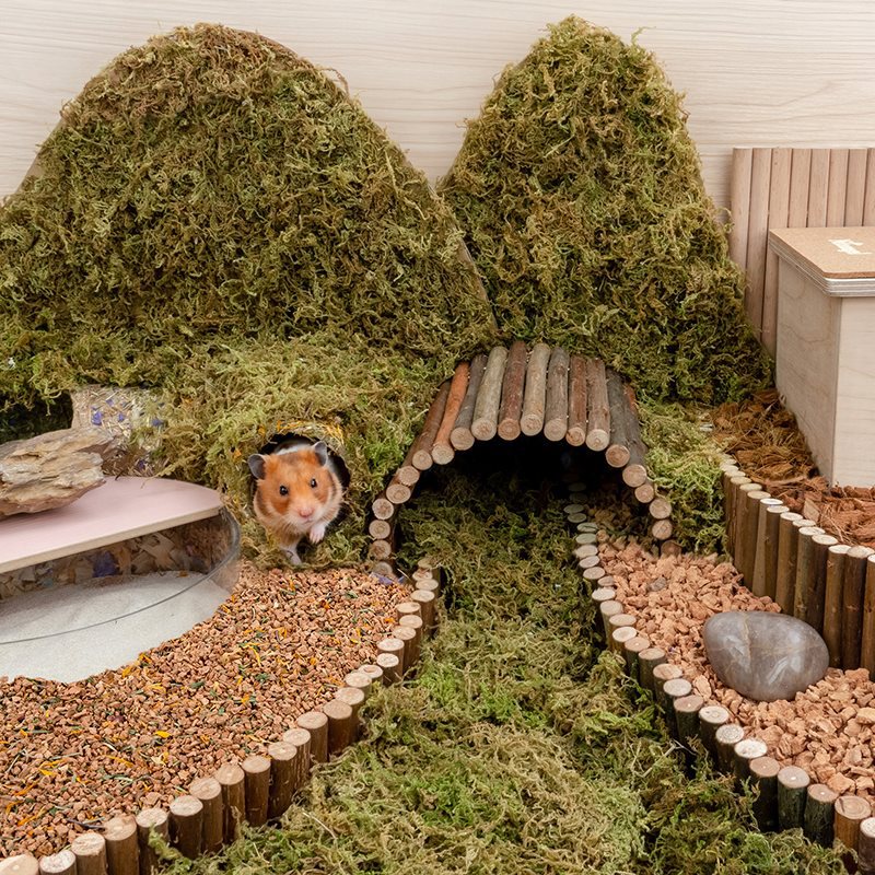 Oak Cork Hamster Digging Dust-free Landscaping Supplies