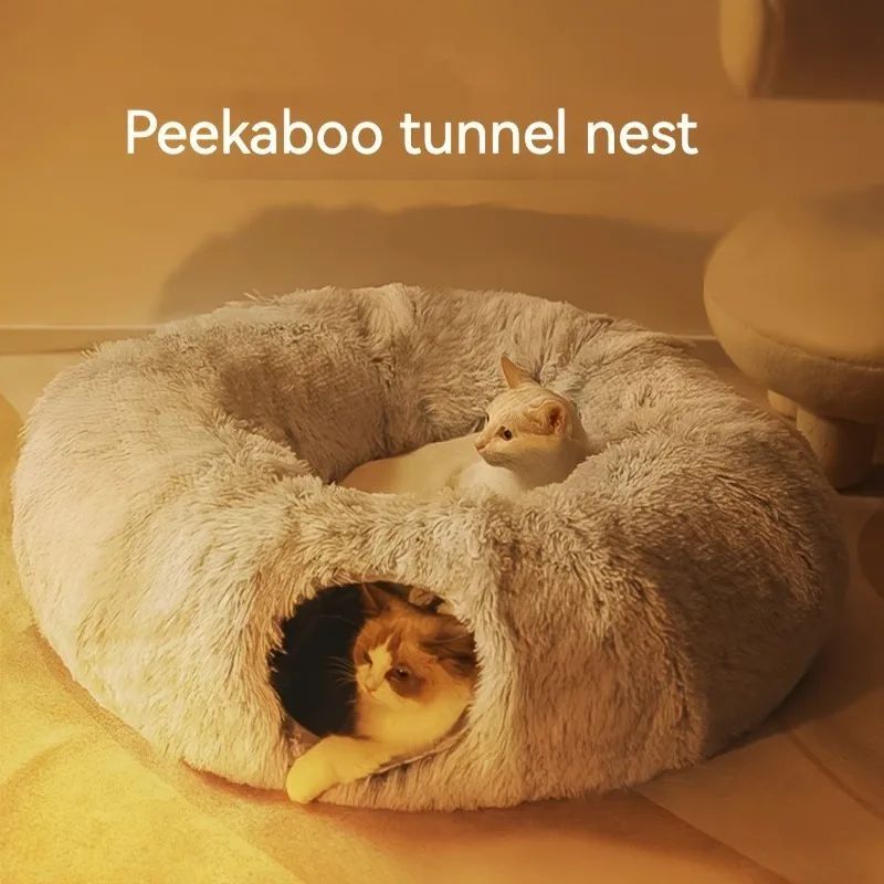 Cats Christmas Beds