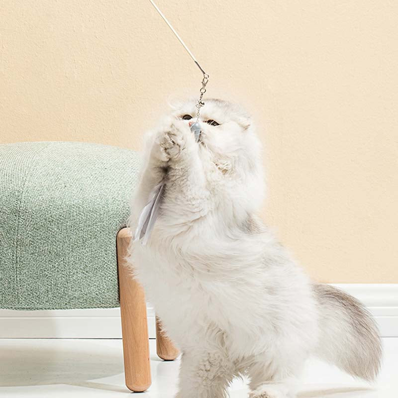 Laser Set Feather Funny Cat Stick Toy