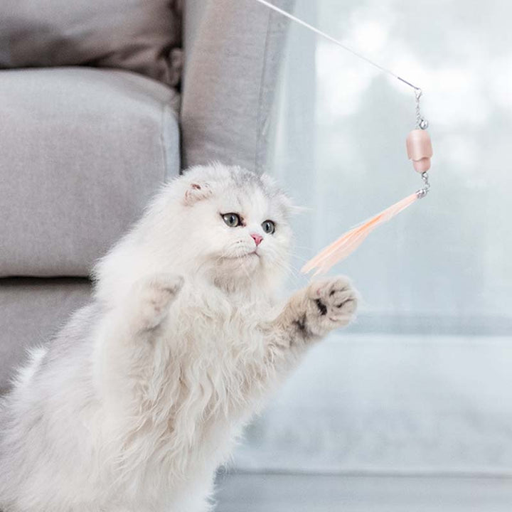 Laser Set Feather Funny Cat Stick Toy