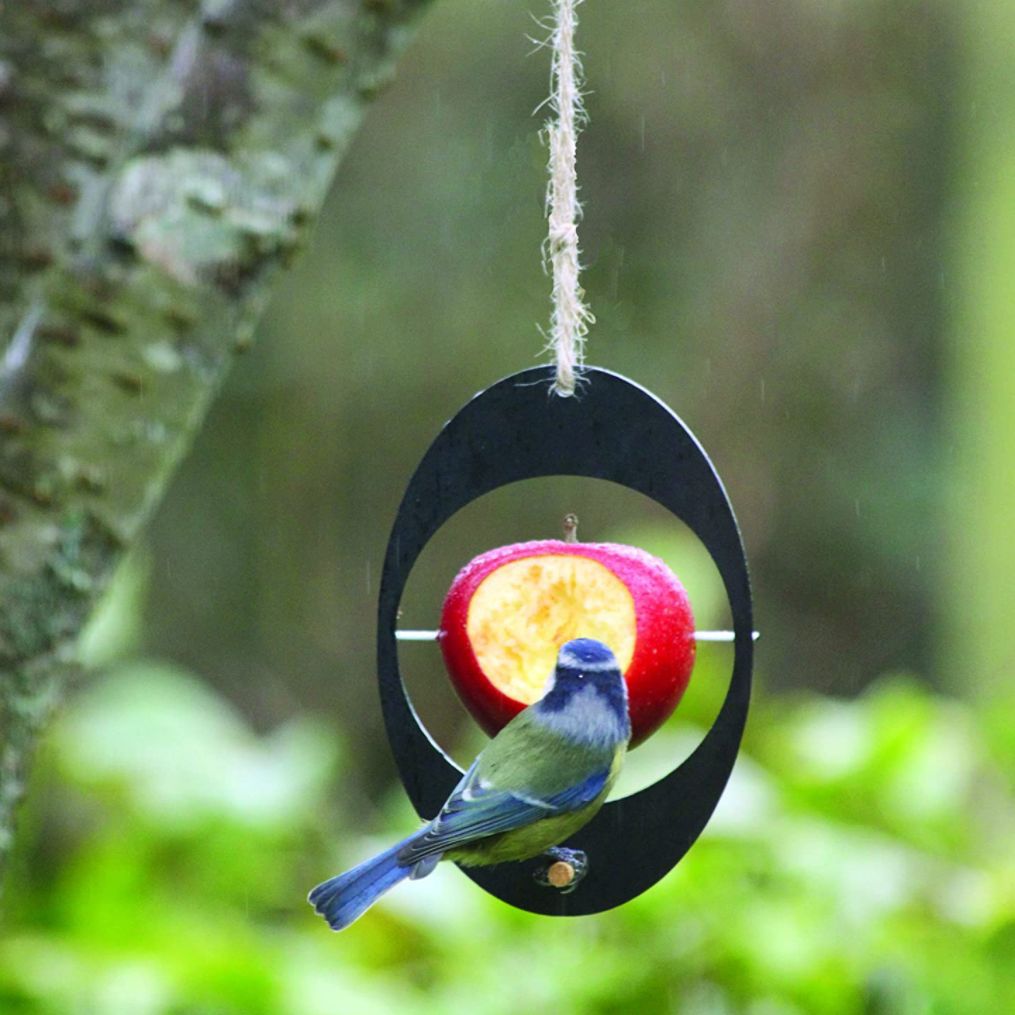 Simple Hanging Yellow Oriole Bird Fruit Feeder