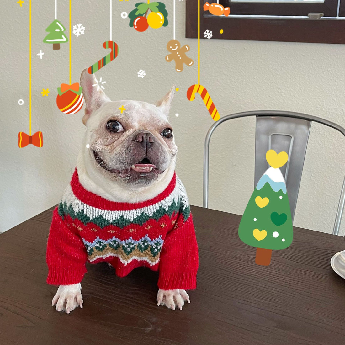 Pet Christmas Sweater