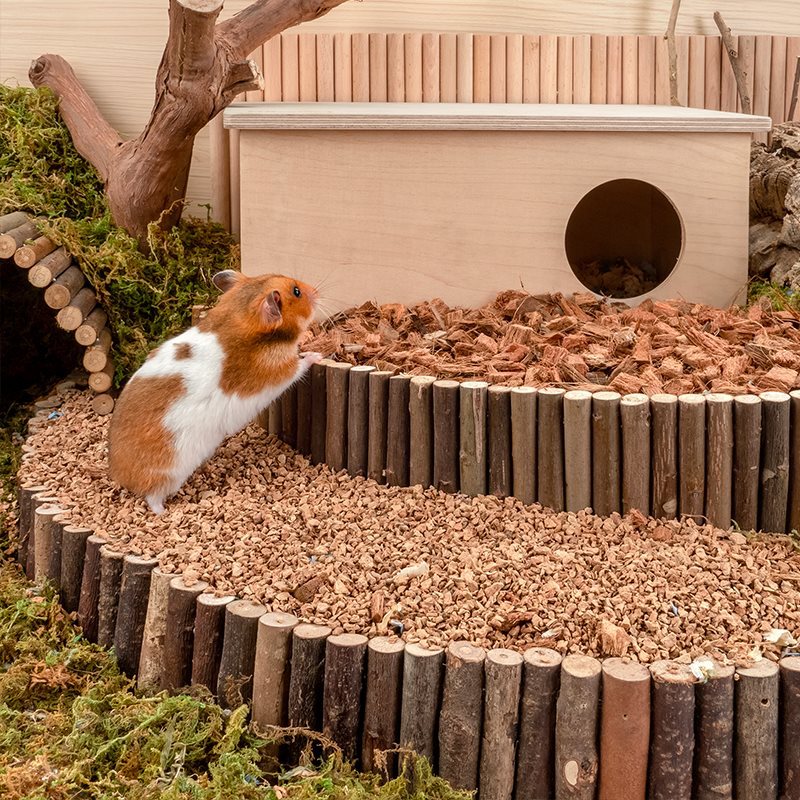 Oak Cork Hamster Digging Dust-free Landscaping Supplies