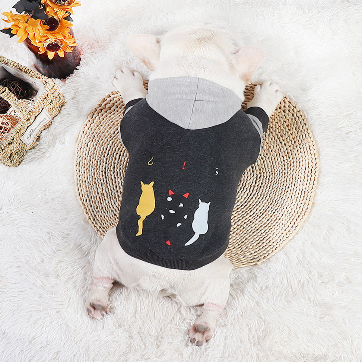Pet Fashion Sweater Two-legged Clothes