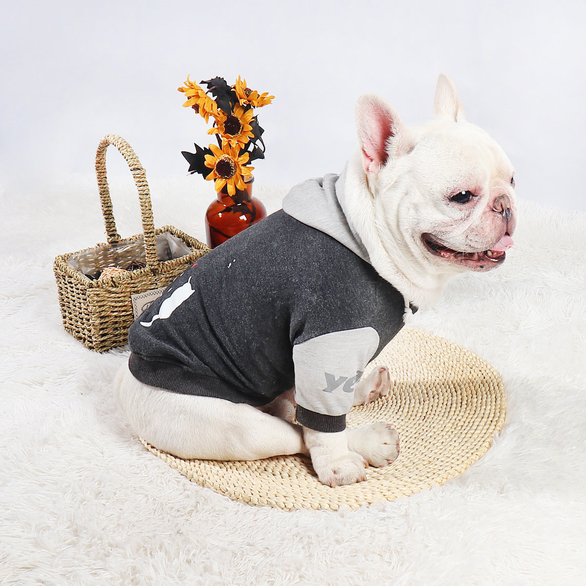 Pet Fashion Sweater Two-legged Clothes