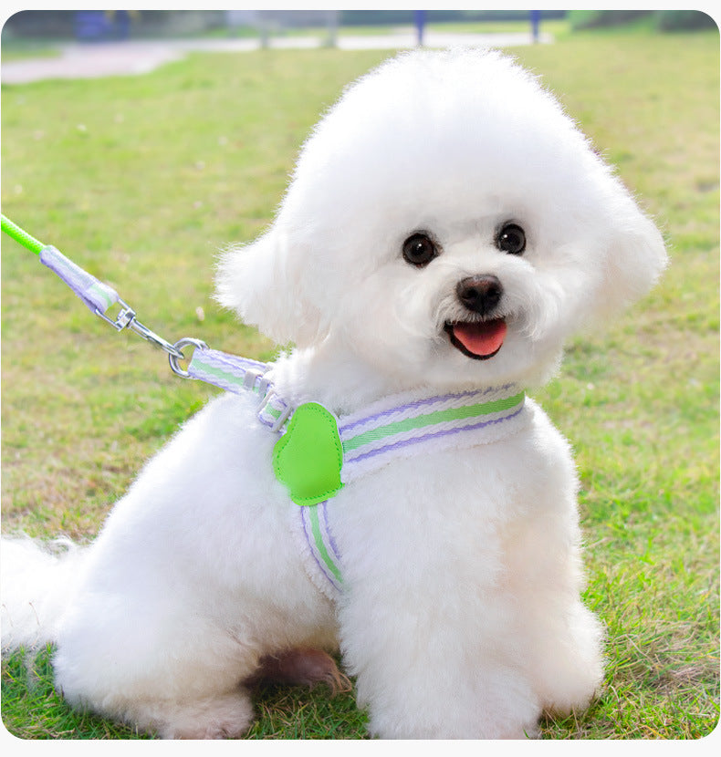 Dog Summer Breathable Walking Leash