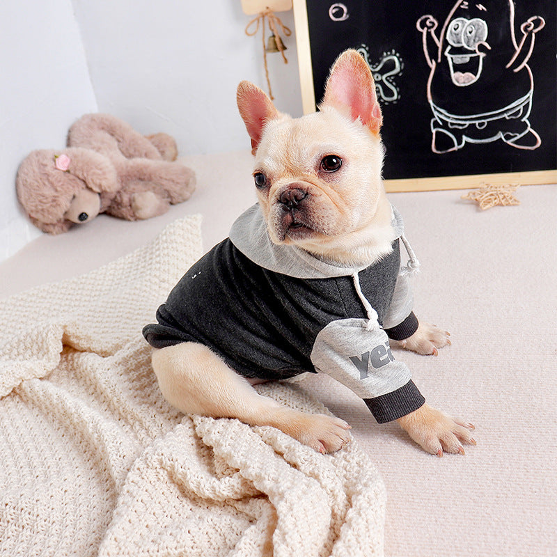 Pet Fashion Sweater Two-legged Clothes