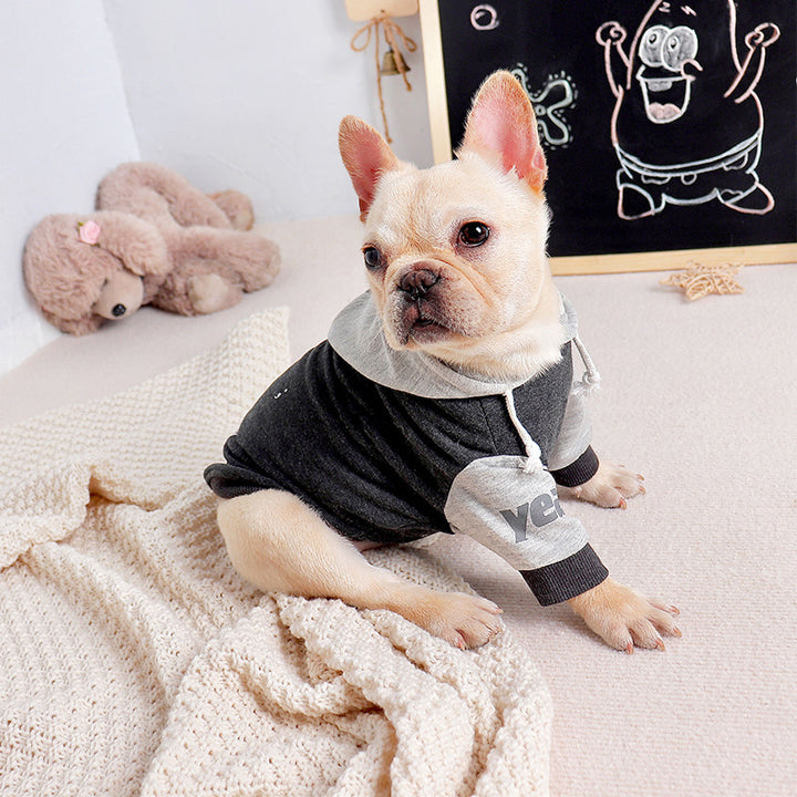 Pet Fashion Sweater Two-legged Clothes