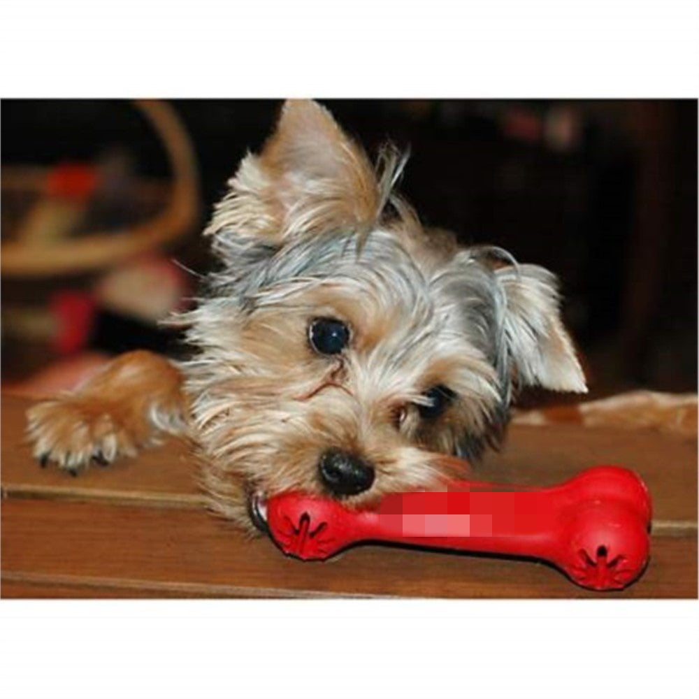 Dog Bite Resistant Rubber Teeth Grinding Toys