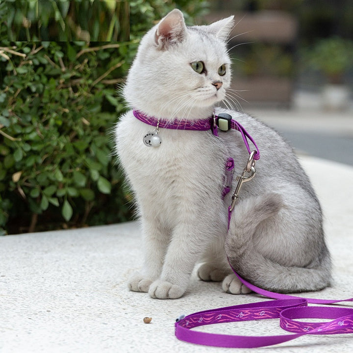 Pet Cat Bell Chest Strap Haulage Rope Teddy Leash