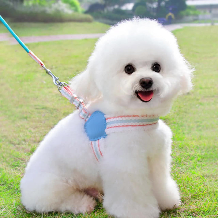 Dog Summer Breathable Walking Leash