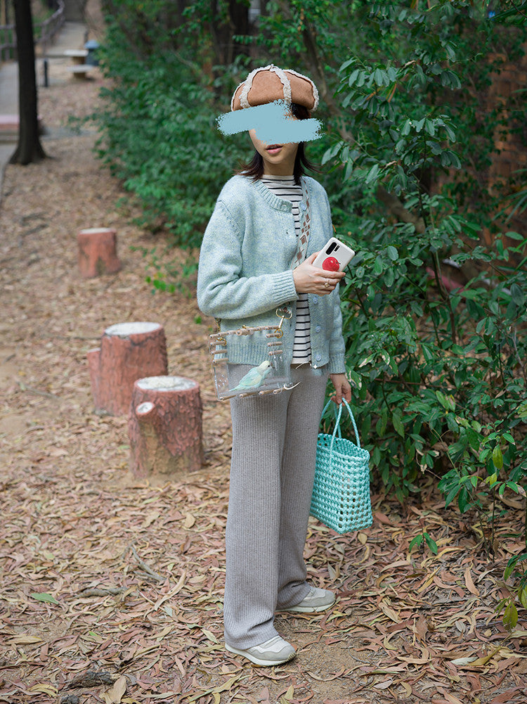 Full Transparent Bird Cage Log Acrylic Parrot