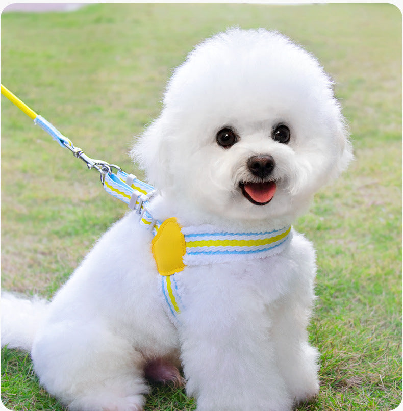 Dog Summer Breathable Walking Leash