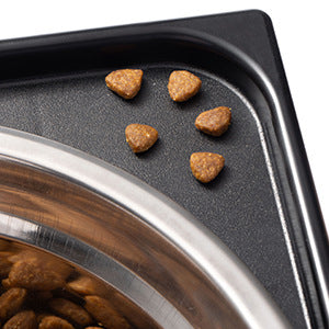 Pet Neck Protection Lifting Feeding Bowl