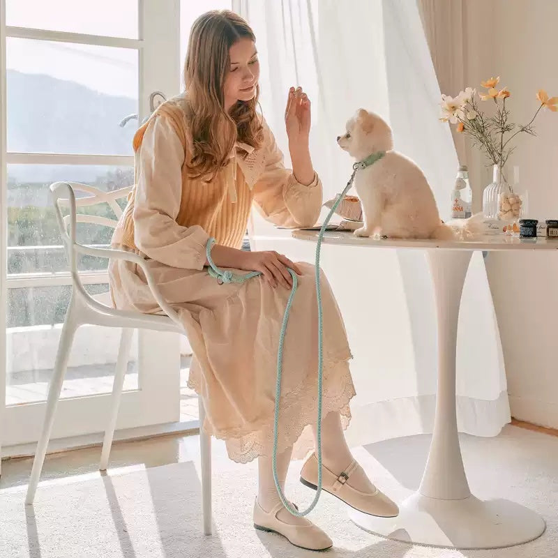 Hand Holding Rope Dog Leash