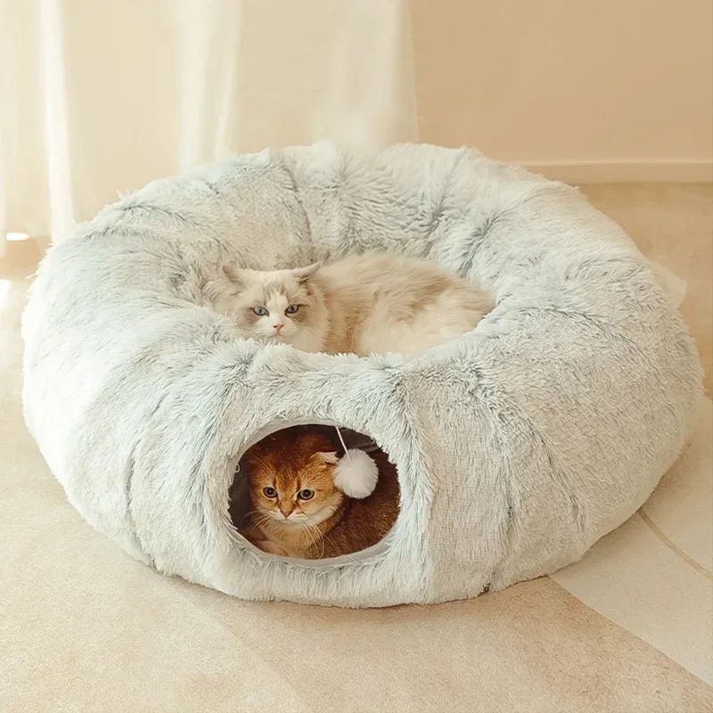 Cats Christmas Beds