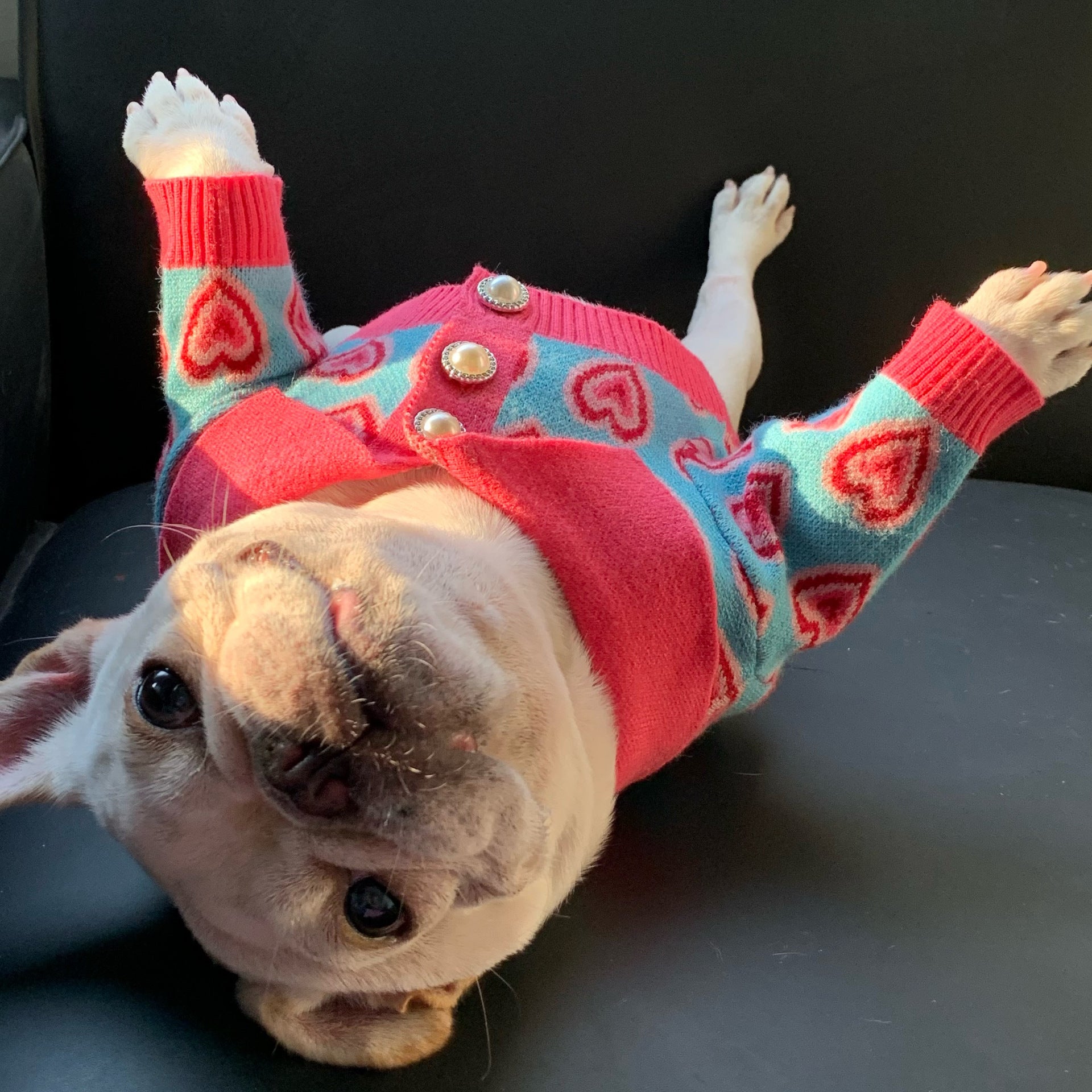 Pet Trendy Dog Sweater