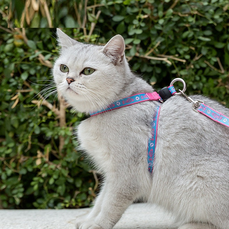 Pet Cat Bell Chest Strap Haulage Rope Teddy Leash