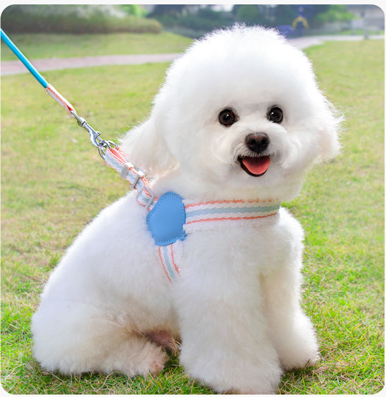 Dog Summer Breathable Walking Leash