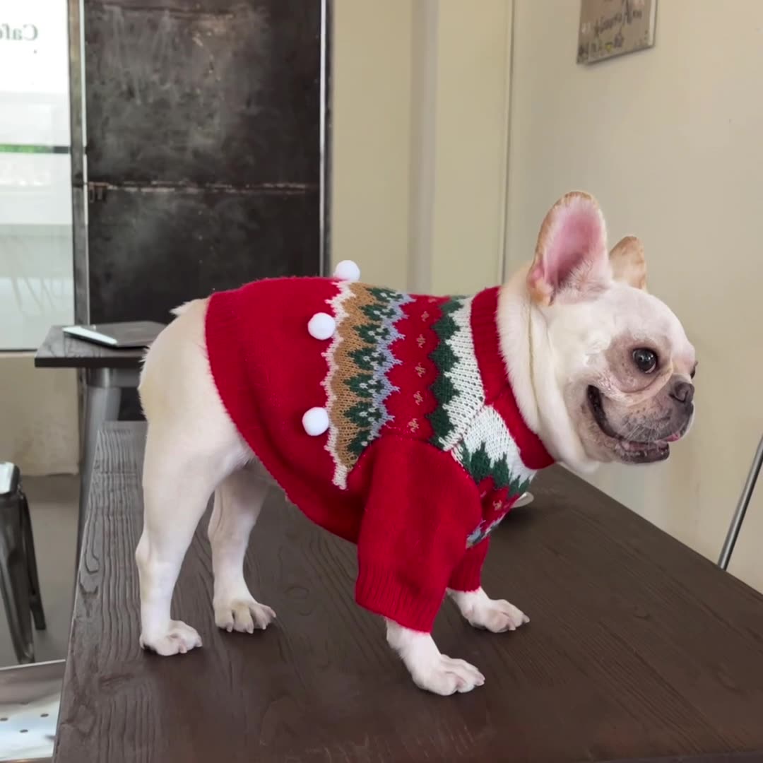 Pet Christmas Sweater