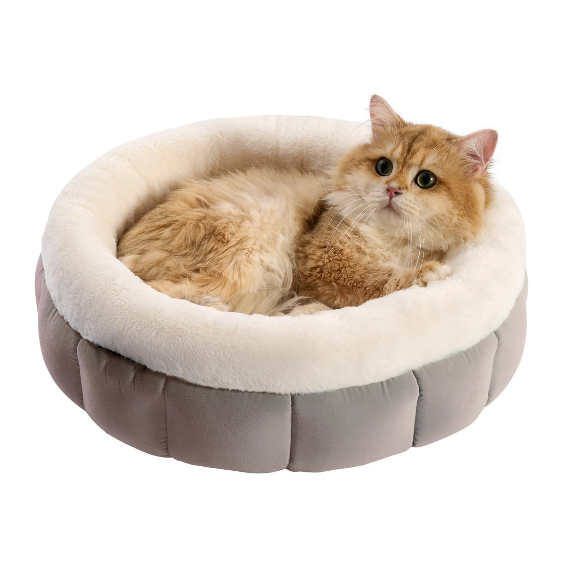 Round Washable Pet Bed