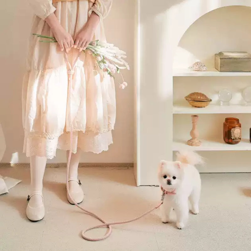 Hand Holding Rope Dog Leash