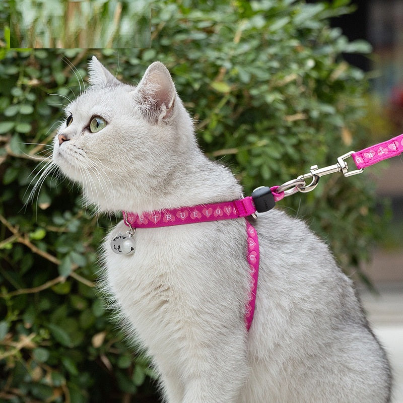 Pet Cat Bell Chest Strap Haulage Rope Teddy Leash